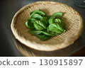 Harvesting basil leaves grown on the balcony 130915897