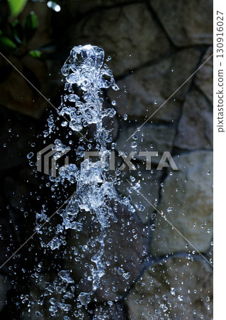 High-class atmosphere table coordination Color tree Western-style tableware image image 130916027