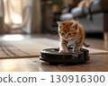 A cute tabby kitten stands on a robotic vacuum cleaner  130916300