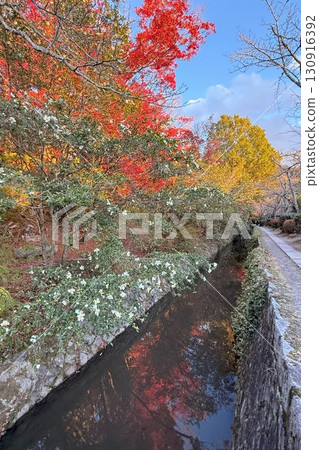Autumn foliage along Kyoto's scenic "Philosopher's Path," one of Japan's best walking trails Autumn foliage along Kyoto's scenic "Philosopher's Path," one of Japan's best walking trails 130916392