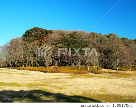 A 21st century forest and open space landscape with dead grass and dead trees in winter A 21st century forest and open space landscape with dead grass and dead trees in winter 130917065