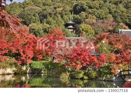 永觀堂是京都首屈一指的賞楓勝地，擁有 3,000 棵楓樹 130917516