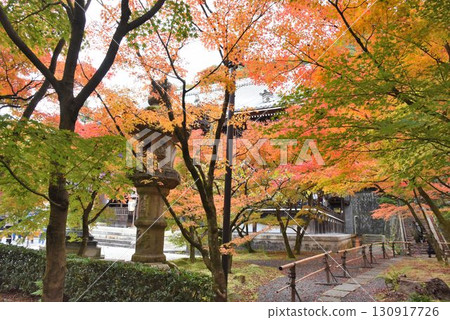 永觀堂是京都首屈一指的賞楓勝地，擁有 3,000 棵楓樹 130917726