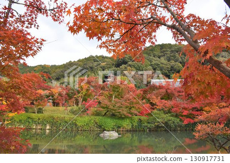 Eikando Temple, Kyoto's premier spot for autumn foliage, boasts 3,000 maple trees 130917731