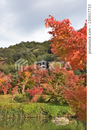 永觀堂是京都首屈一指的賞楓勝地，擁有 3,000 棵楓樹 130917733