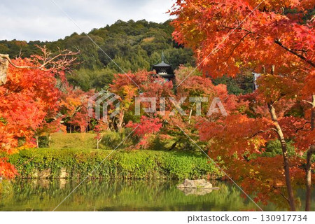 永觀堂是京都首屈一指的賞楓勝地，擁有 3,000 棵楓樹 130917734