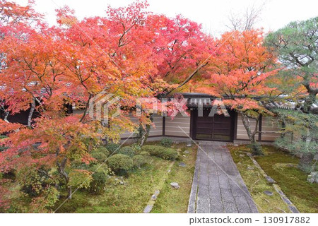 Eikando Temple, Kyoto's premier spot for autumn foliage, boasts 3,000 maple trees Eikando Temple, Kyoto's premier spot for autumn foliage, boasts 3,000 maple trees 130917882