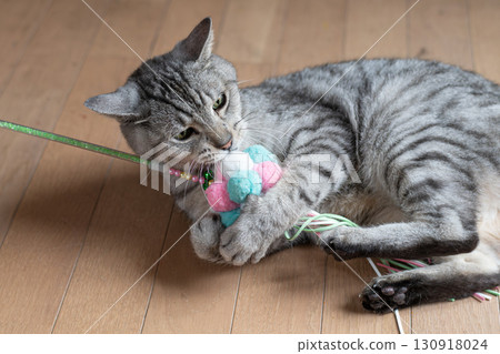 可愛的貓咪玩玩具-鯖魚虎斑貓 130918024