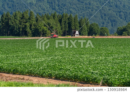 Niigata Prefecture: Tsunan Town, a town rich in nature and peaceful rural scenery 130918984