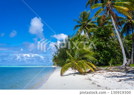Idyllic white sand beach with coconut trees in Maupiti, French Polynesia Idyllic white sand beach with coconut trees in Maupiti, French Polynesia 130919300