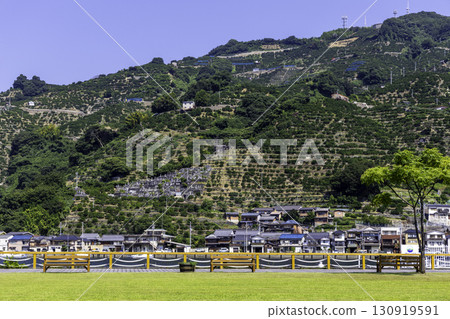 愛媛郡八幡濱港區廣場與柑橘梯田的夏季風景 愛媛郡八幡濱港區廣場與柑橘梯田的夏季風景 130919591
