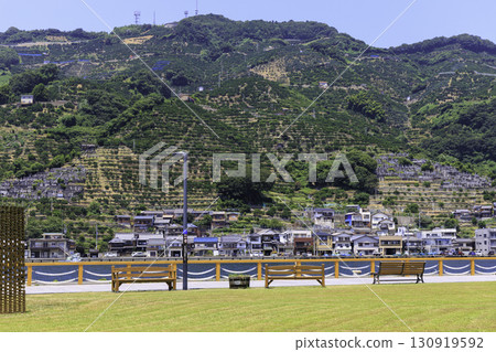 Summer scenery of Minatto Square and the terraced mandarin orange fields in Yawatahama, Ehime Prefecture Summer scenery of Minatto Square and the terraced mandarin orange fields in Yawatahama, Ehime Prefecture 130919592