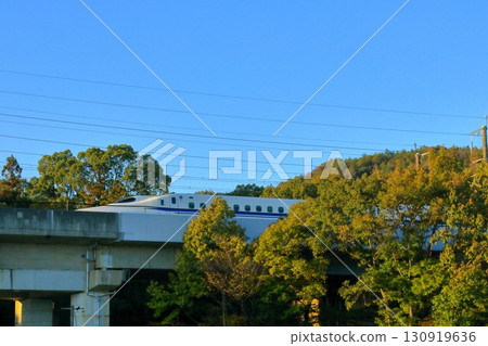 A Shinkansen train emerges from the autumn colors A Shinkansen train emerges from the autumn colors 130919636