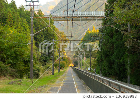 Apt Road at dusk, Annaka City, Gunma Prefecture 130919988