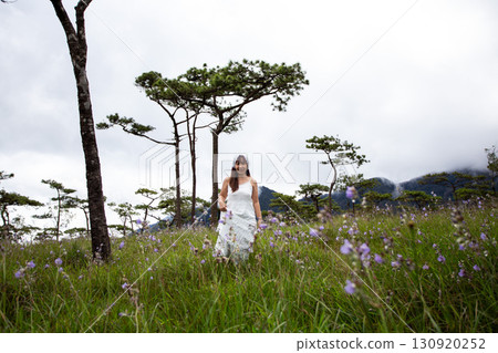 woman walks on a meadow and enjoys nature, Pine tree forest at Phu Soi Dao, Phu Soi Dao National Park, Uttaradit, Thailand woman walks on a meadow and enjoys nature, Pine tree forest at Phu Soi Dao, Phu Soi Dao National Park, Uttaradit, Thailand 130920252