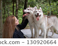 Huskies on a picnic table with female owner admiring them in the summer forest 130920664