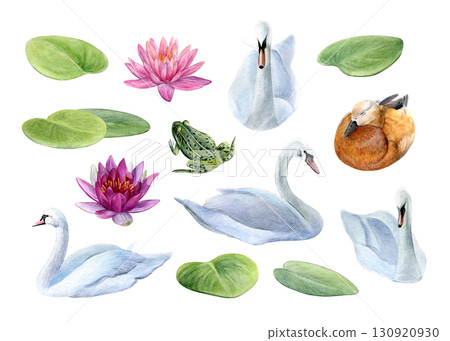 Watercolor set of swans, lotuses, duck and frog isolated on a white background. Good for postcards, invitations, greeting cards 130920930