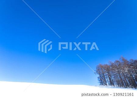 北海道美瑛的湛藍天空與樸實的冬日雪景 130921161