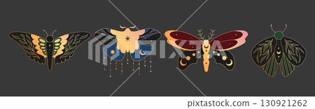 Boho butterflies set with celestial ornament 130921262