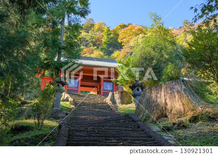 Myogi Shrine, Zuishinmon Gate, Tomioka City, Gunma Prefecture 130921301