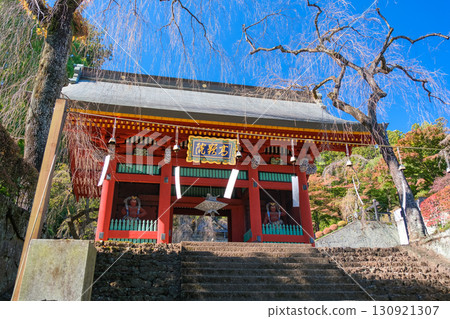 群馬縣富岡市妙義神社正門 130921307