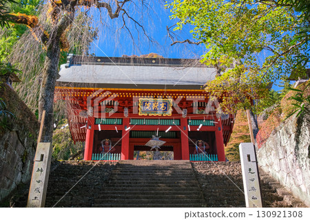 群馬縣富岡市妙義神社 130921308