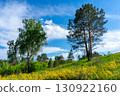 The "Vasylkivski Carpathians" landscape reserve in Ukraine showcases pristine mountain scenery, lush forests, and rich biodiversity. 130922160