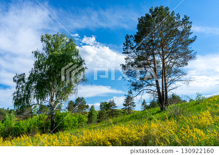 The "Vasylkivski Carpathians" landscape reserve in Ukraine showcases pristine mountain scenery, lush forests, and rich biodiversity. The "Vasylkivski Carpathians" landscape reserve in Ukraine showcases pristine mountain scenery, lush forests, and rich biodiversity. 130922160