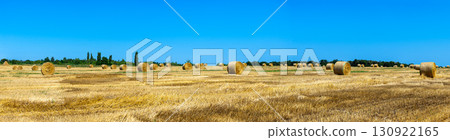Round bales of straw rolled up on field on the sky background, autumnal harvest 130922165