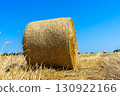 Round bales of straw rolled up on field on the sky background, autumnal harvest 130922166