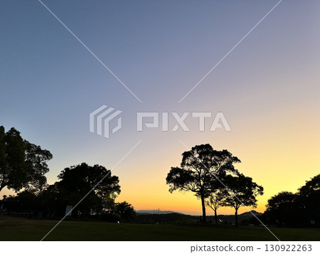 樹木繁茂的公園夜景 樹木繁茂的公園夜景 130922263