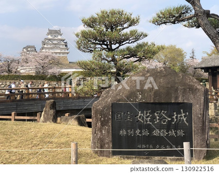 姬路城入口:城堡、櫻花和松樹 姬路城入口:城堡、櫻花和松樹 130922516
