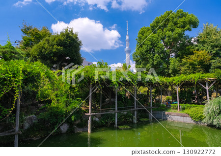 東京江東區龜戶天神社和真嗣池 東京江東區龜戶天神社和真嗣池 130922772