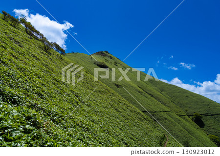 Midsummer summit and traverse of Mt. Jiroui, Miyoshi City, Naka Town, Naka District, Tokushima Prefecture 130923012