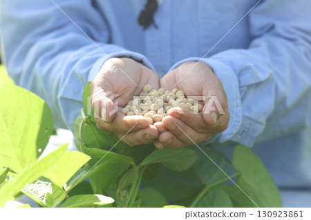 Woman with lots of soybeans 130923861