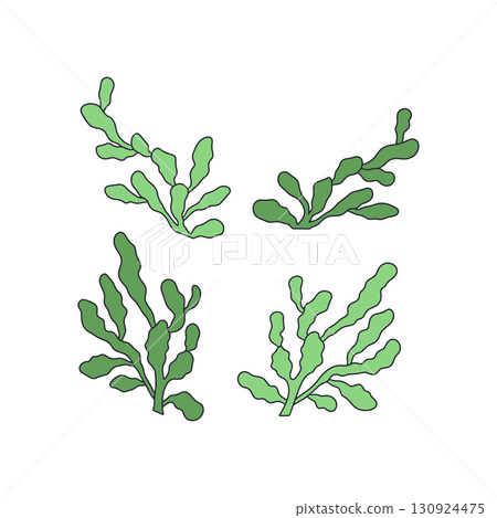 Green seaweed hand drawn vector illustration set Green seaweed hand drawn vector illustration set 130924475