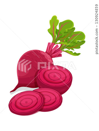 Purple beetroot whole half and slices isolated on white background-stock illustration 130924859