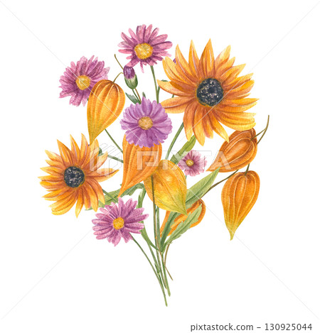 Physalis branches with bright orange lanterns, daisy and rudbeckia flowers bouquet watercolor illustration on isolated background. Autumn aster, sunflower for seasonal invitations, greeting cards. Physalis branches with bright orange lanterns, daisy and rudbeckia flowers bouquet watercolor illustration on isolated background. Autumn aster, sunflower for seasonal invitations, greeting cards. 130925044