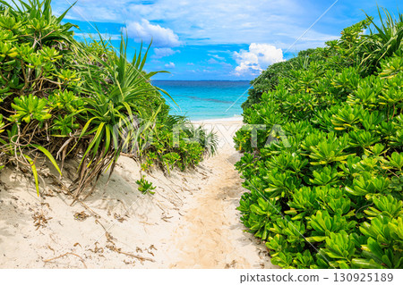Miyakojima Sunayama Beach and the emerald green sea 130925189