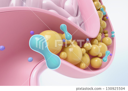 3D icons of beneficial bacteria reaching the intestines Lactic acid bacteria and a healthy intestinal environment 130925504