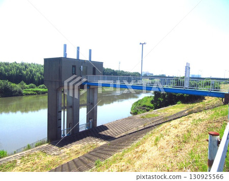 "Tamadai drainage culvert" in Moriya Town, Joso City, Ibaraki Prefecture 130925566