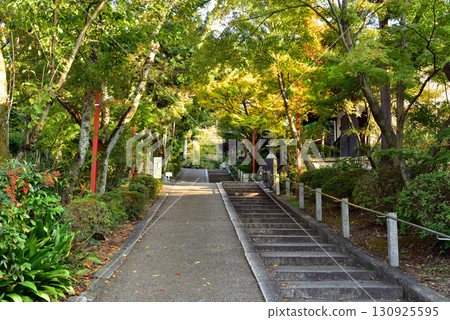 The approach to Awata Shrine in autumn The approach to Awata Shrine in autumn 130925595