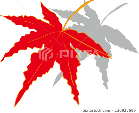 Illustration of a maple leaf that turned red Illustration of a maple leaf that turned red 130925699
