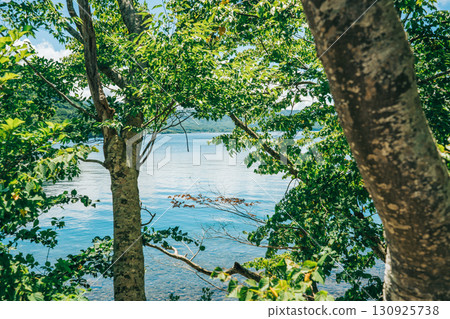 Scenery around Lake Towada in summer 130925738