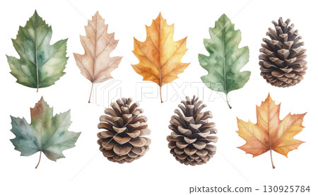 落葉和松果水彩插圖集 落葉和松果水彩插圖集 130925784