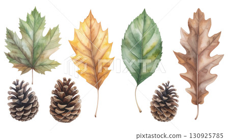 落葉和松果水彩插圖集 130925785