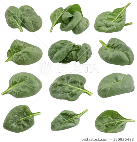 A Fresh spinach leaves are arranged in grid pattern, showcasing their vibrant green color and natural texture. Each leaf is unique in shape, highlighting variety found in nature A Fresh spinach leaves are arranged in grid pattern, showcasing their vibrant green color and natural texture. Each leaf is unique in shape, highlighting variety found in nature 130926488