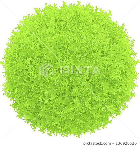 A vibrant green, round moss ball with textured surface, resembling lush, natural sphere. bright color and intricate details create lively and fresh appearance 130926520