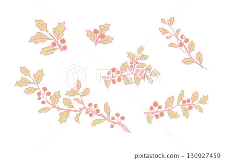 冬青樹枝插圖集 130927459