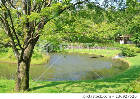 靜岡縣伊豆市虹之鄉日本庭園 130927526